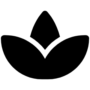 Spa Icon from Font Awesome Solid Set