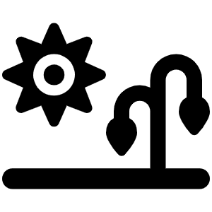 Sun Plant Wilt Icon from Font Awesome Solid Set