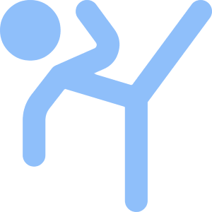 Martial Arts Icon from Core Flat Set