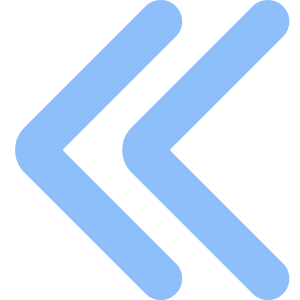 Double Tailless Line Arrow Left Icon from Core Flat Set