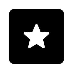 Pages Fill Icon from Rounded Fill - Material Symbols Set