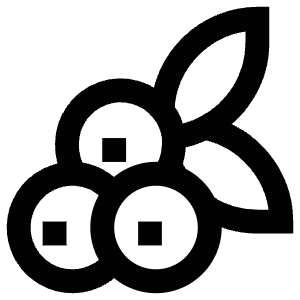 Berries Organic Leaf Icon from Atlas Line Set