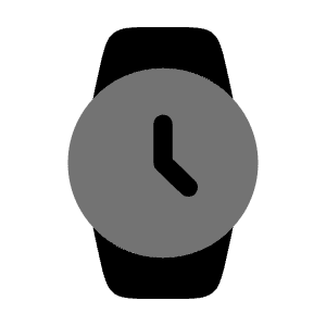 Watch Round Icon from Solar Bold Duotone Set