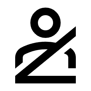 Person Seatbelt Icon from Material Pro Line Set