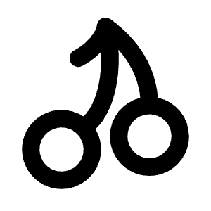 Cherry Icon from Rounded Line - Material Pro Free Set