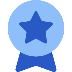 Medal Badge Star Icon from Core Flat Set