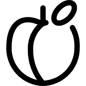 Fruit Apricot Icon from Ultimate Regular - Free Set