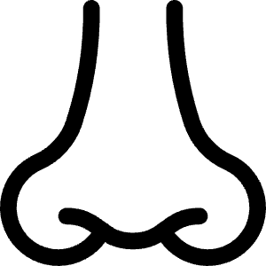 Medical Specialty Nose Icon from Ultimate Regular - Free Set