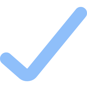 Check Icon from Core Flat Set