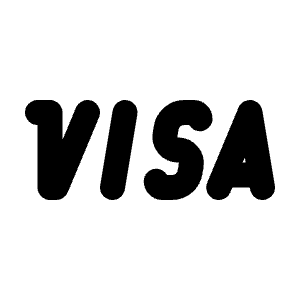 Brand Visa Icon from Tabler Line Set
