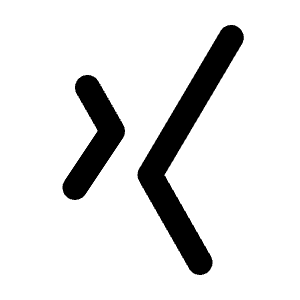 Brand Xing Icon from Tabler Line Set