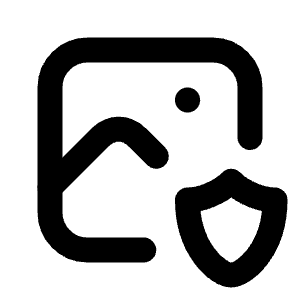 Photo Shield Icon from Tabler Line Set