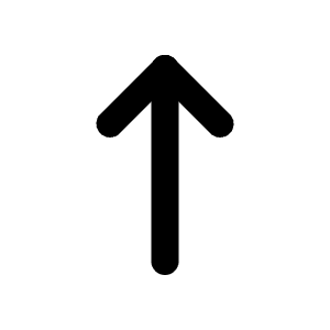 Arrow Narrow Up Icon from Tabler Line Set