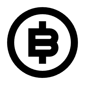 Bit Coin Line Icon from Remix Line Set
