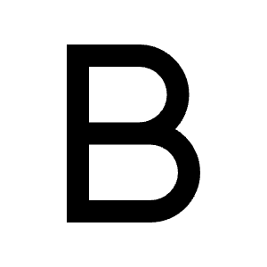 Bold Icon from Remix Line Set