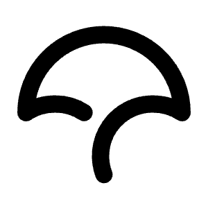 Brand Codecov Icon from Tabler Line Set