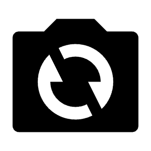 Camera Switch Fill Icon from Remix Fill Set