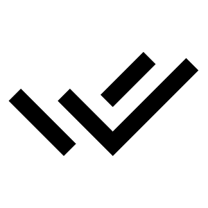 Check Double Line Icon from Remix Line Set