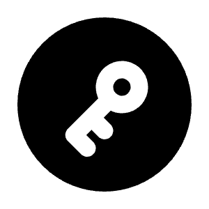 Circle Key Icon from Tabler Filled Set