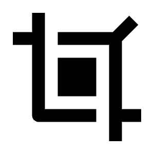 Crop 2 Fill Icon from Remix Fill Set