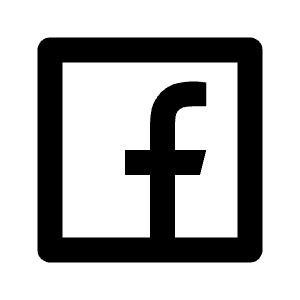 Facebook Box Line Icon from Remix Line Set