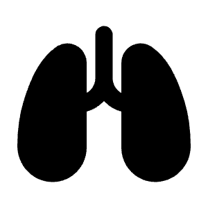 Lungs Icon from Tabler Filled Set