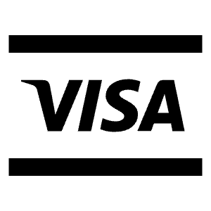 Visa Fill Icon from Remix Fill Set