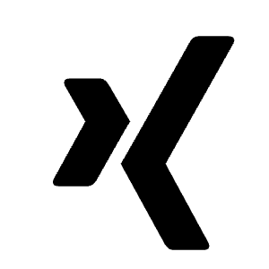 Xing Fill Icon from Remix Fill Set