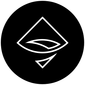 Ast Icon from Cryptocurrency Black Set