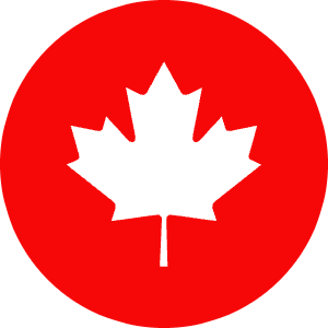 Cdn Icon from Cryptocurrency Colors Set