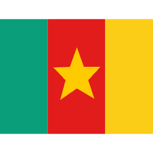 CM Cameroon Icon from Flagpack Set