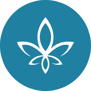 Flo Icon from Cryptocurrency Colors Set