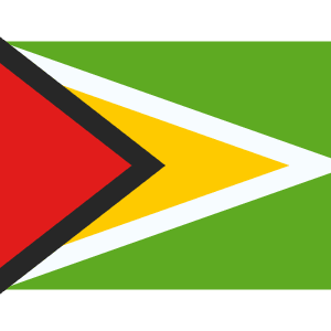 GY Guyana Icon from Flagpack Set