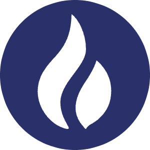 Ht Icon from Cryptocurrency Colors Set