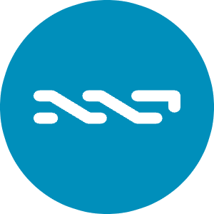 Nxt Icon from Cryptocurrency Colors Set