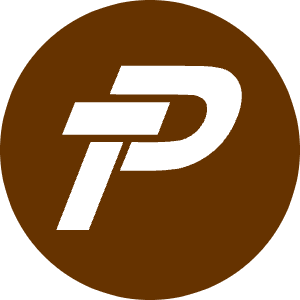 Payx Icon from Cryptocurrency Colors Set