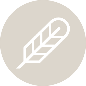 Poe Icon from Cryptocurrency Colors Set