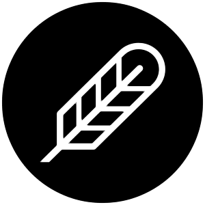 Poe Icon from Cryptocurrency Black Set