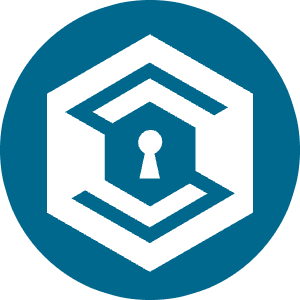 Safe Icon from Cryptocurrency Colors Set