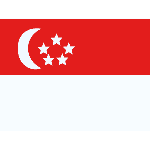 SG Singapore Icon from Flagpack Set