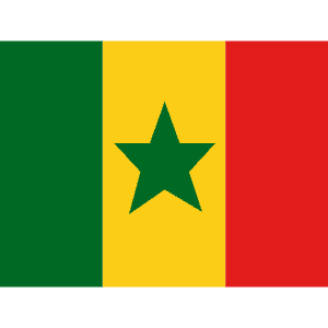 SN Senegal Icon from Flagpack Set