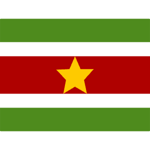 SR Suriname Icon from Flagpack Set