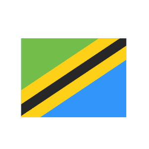 TZ Tanzania Icon from Flagpack Set