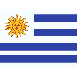 UY Uruguay Icon from Flagpack Set
