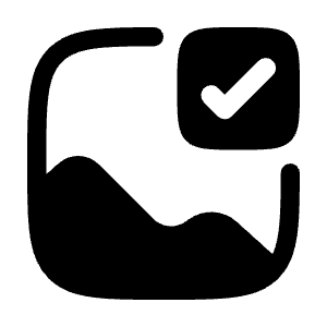 Gallery Check Icon from Solar Bold Set
