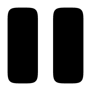 Pause Icon from Solar Bold Set