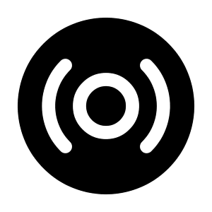 Vinyl Record Icon from Solar Bold Set
