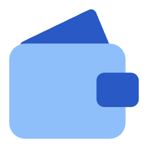 Wallet Solo Icon from Core Flat Set