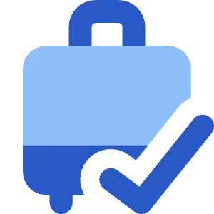 Carry On Bag Check Icon from Core Flat Set