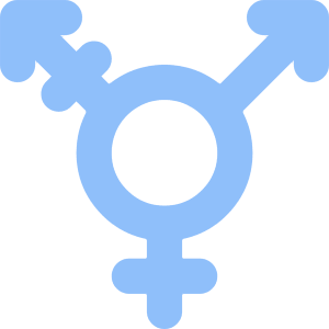 Transgender Symbol Icon from Core Flat Set